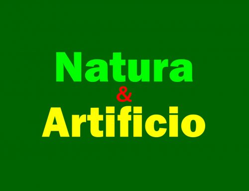 2014 NATURA & ARTIFICIO – BITM, Mostra collettiva FIDA-Trento