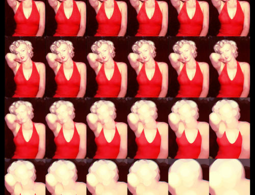 Variazioni su Marilyn, 2011