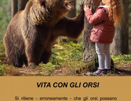 2024 VITA CON GLI ORSI 13, BIMBA CON L’ORSO