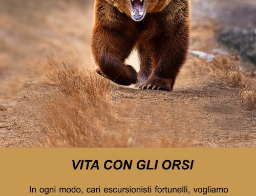 2024 VITA CON GLI ORSI 15, L’ULTIMO SALUTO