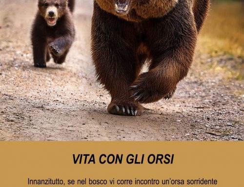 2024 VITA CON GLI ORSI 02, IL BENVENUTO