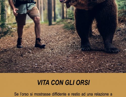 2024 VITA CON GLI ORSI 03, TECNICA DI AVVICINAMENTO