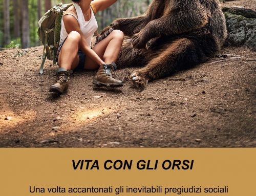2024 VITA CON GLI ORSI 07, BAMBOLOTTO DI PELUCHE